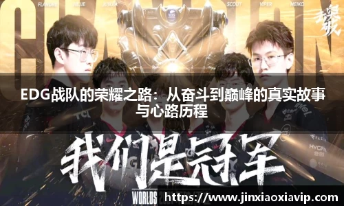 球信网