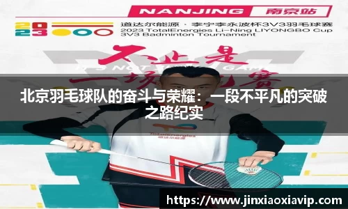 球信网平台