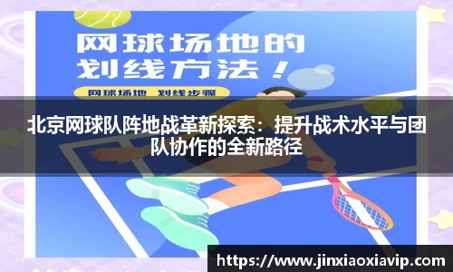 球信网