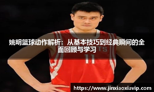 球信网平台