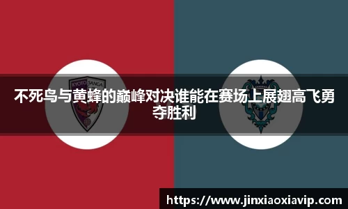 球信网平台