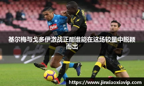 球信网